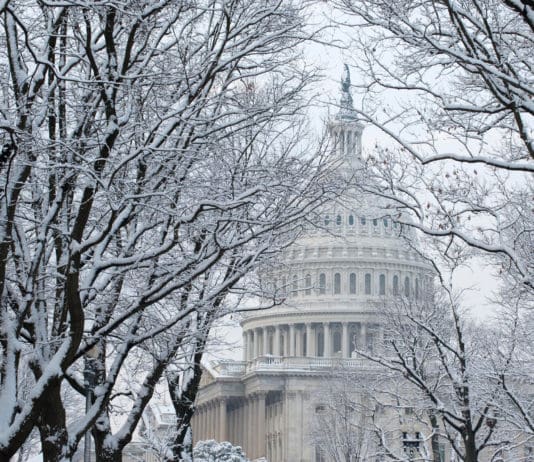 Non-Voting Congressional Members