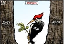 The Healthcare Con