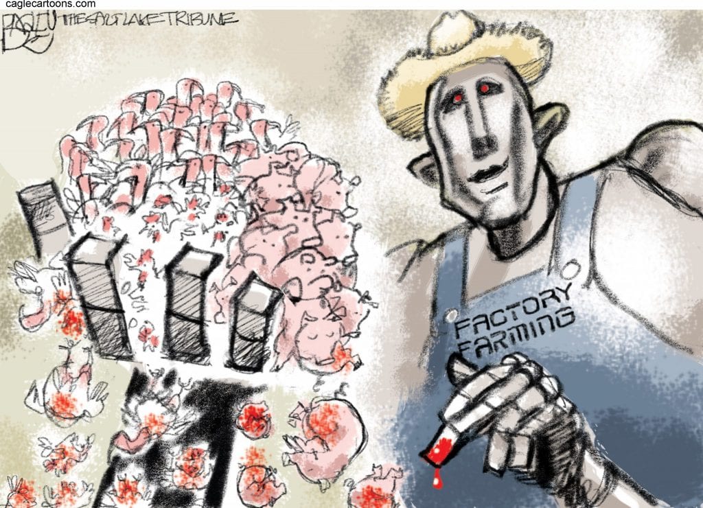 Factory Farming