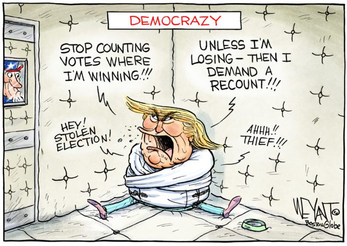 11.5.20Democrazy