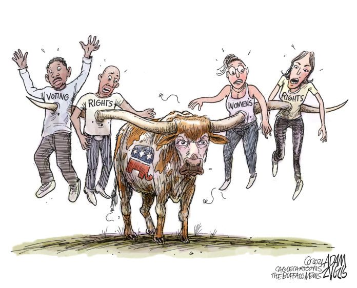 Texas longhorn