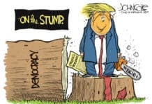 Strong Leaders And Weak Democracies
