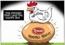 Debunking Four Myths About Inflation