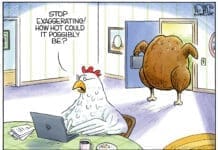 TOP CORPORATE EXECUTIVES SHOULD HAVE TO FEEL THE SUMMER HEAT A chicken sits at a laptop, saying "Stop exaggerating! How hot could it possibly be?" Another chicken, roasted to golden perfection, stands silently in the background.