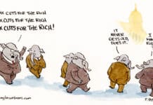 Fool’s Gold