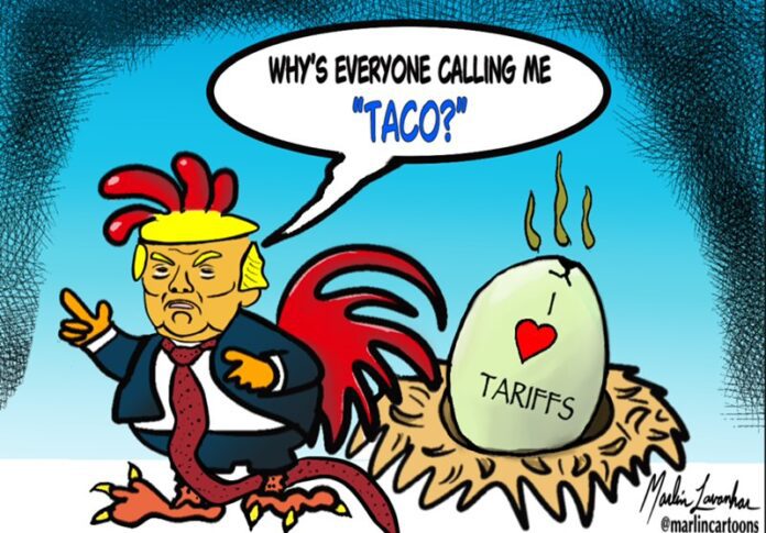 Donald Trump, as a chicken, stands next to a nest holding a large egg. On the egg, there is text reading 