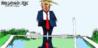 Mirror, Mirror on the Mall