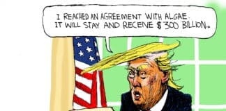 The Art of the Green Deal