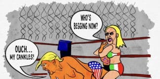 The Apprentice Gets Schooled